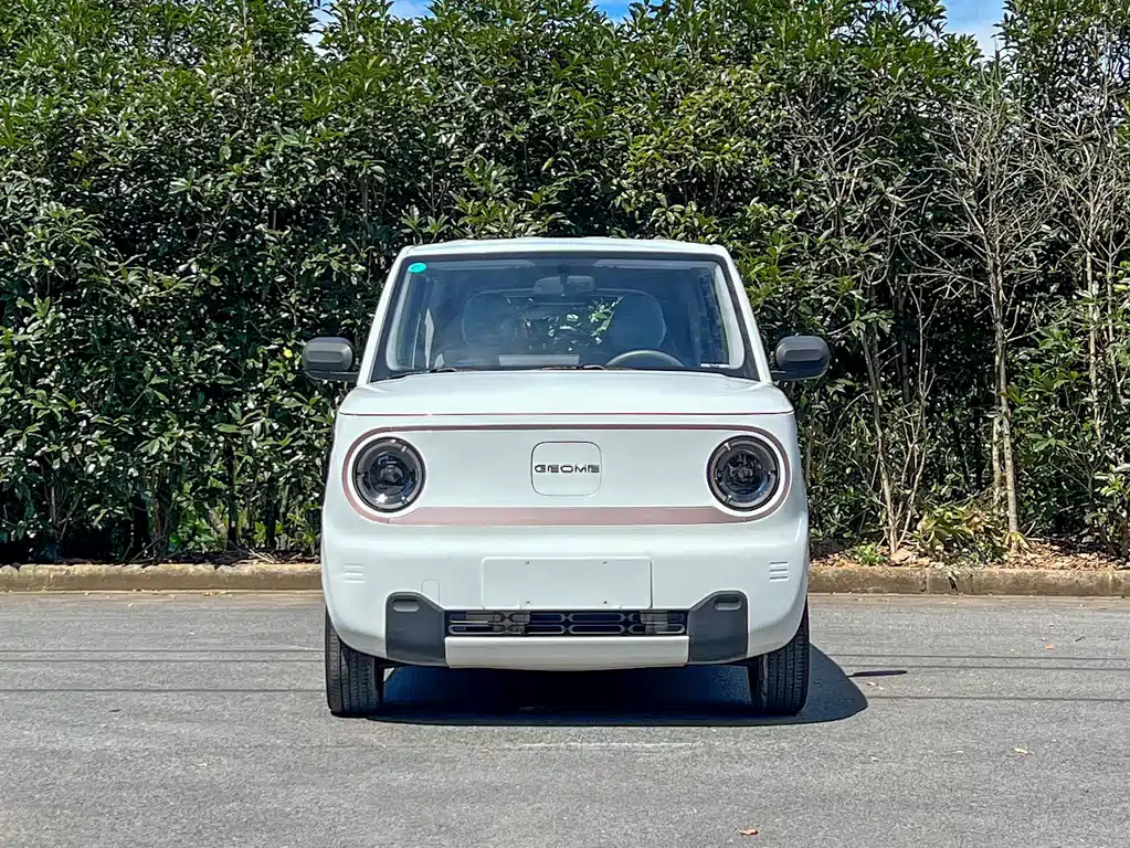 Galaxy Panda 2023