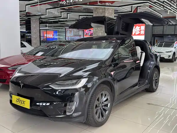 Tesla Model X 2020