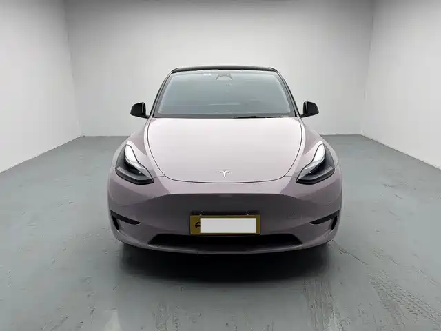 Tesla Model Y 2023 — фото 2