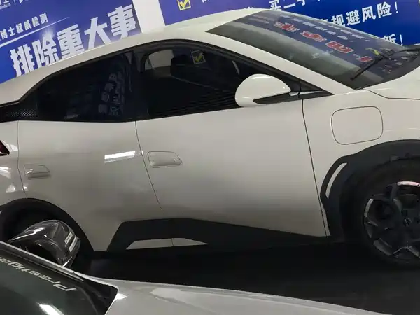 BYD Seagull 2025