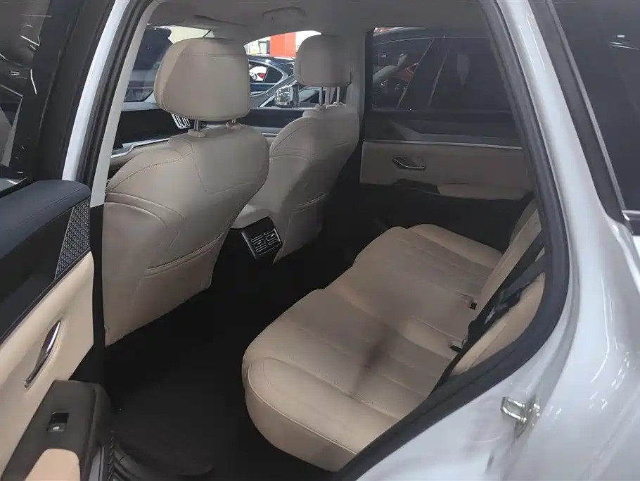 BYD Pro New Energy 2025 — фото 11