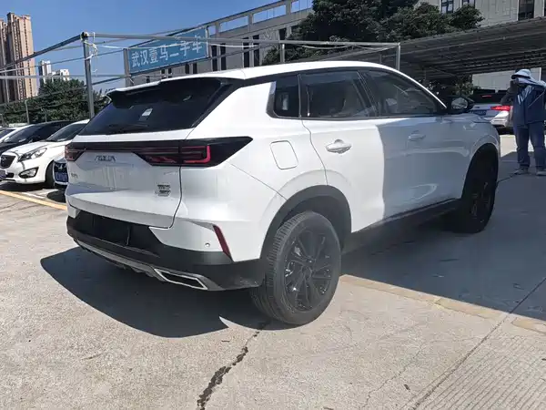 Dongfeng Haoji 2026