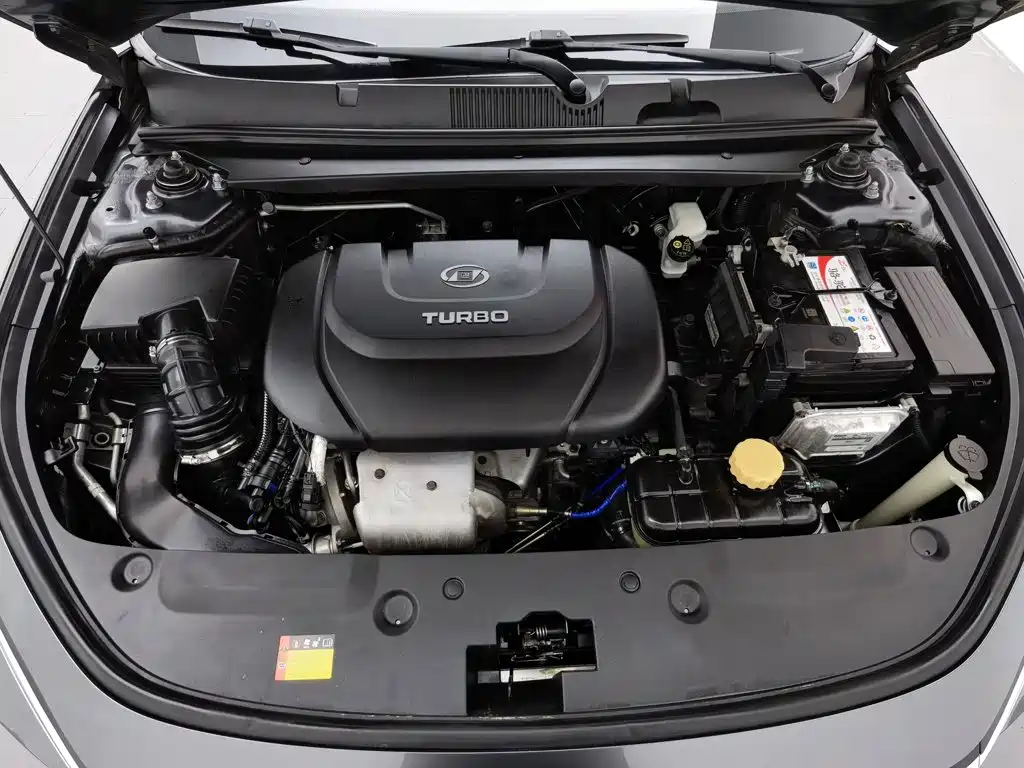 Baojun Valli 2021