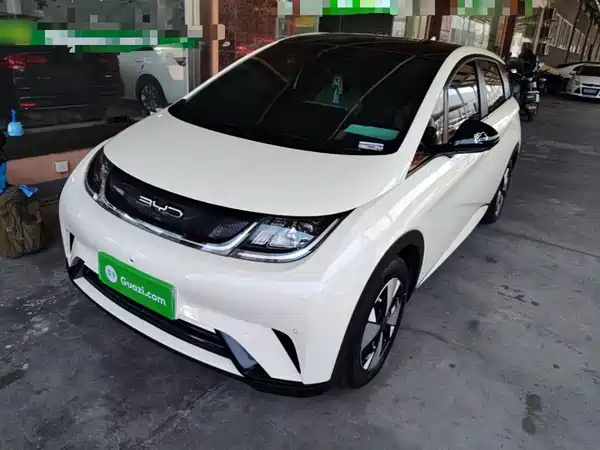BYD Dolphin 2024