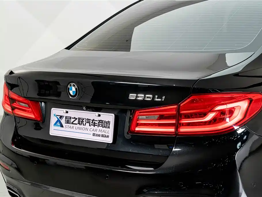 BMW 5 Series 2020 — фото 8