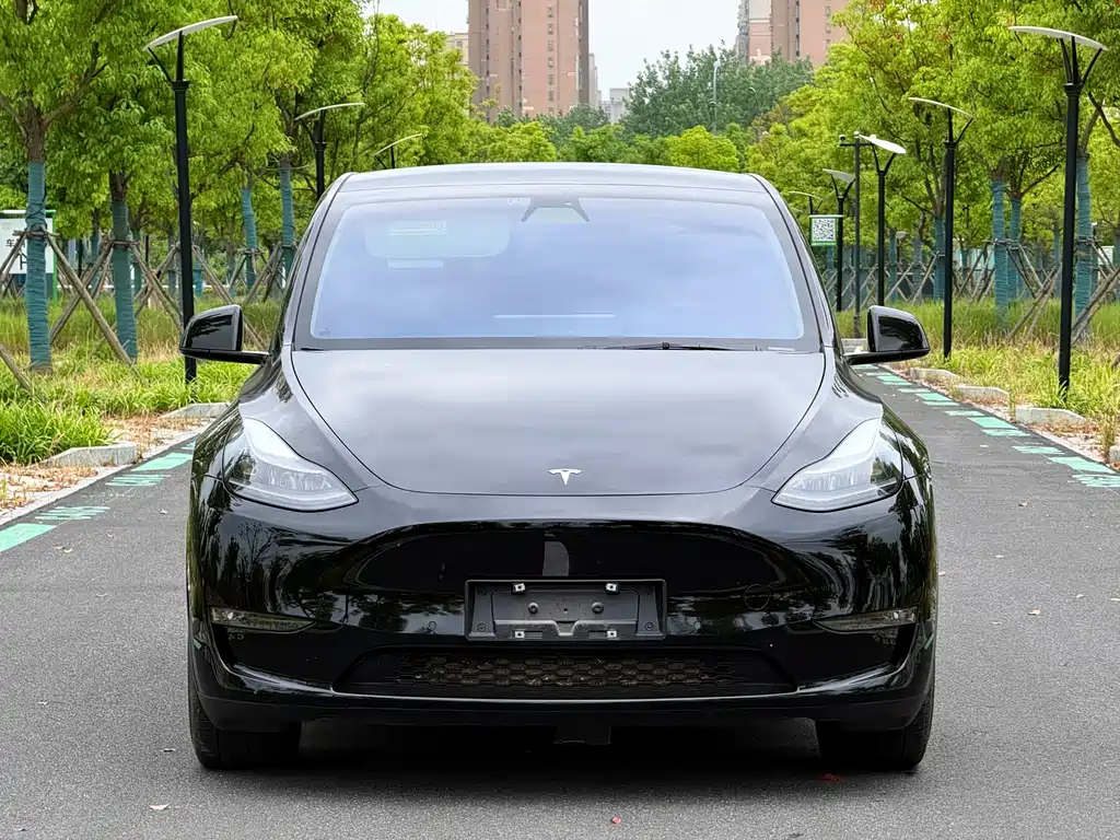 Tesla Model Y 2023 — фото 2