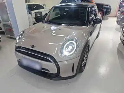 MINI MINI 2024