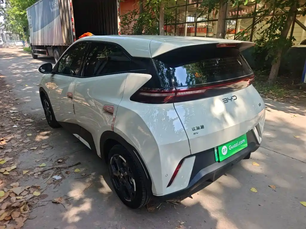 BYD Seagull 2024