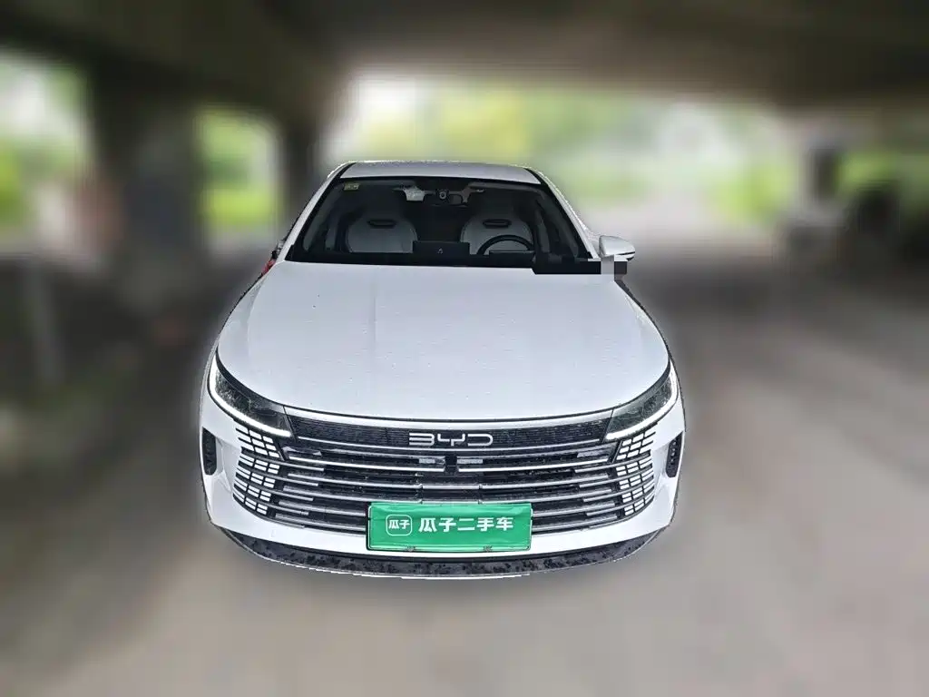BYD Qin PLUS 2024 — фото 24