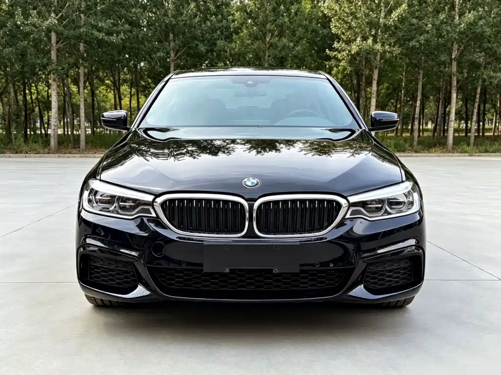 BMW 5 Series 2020