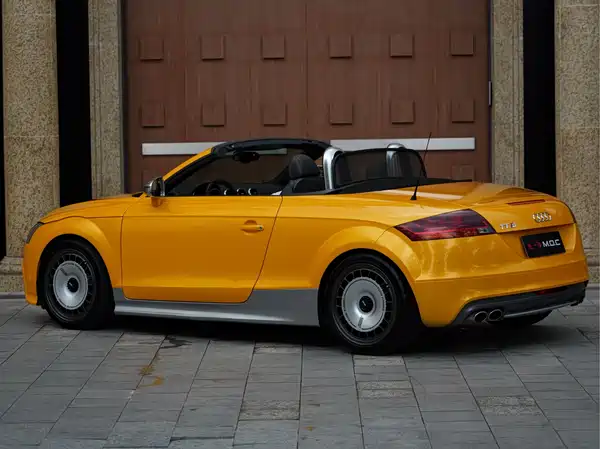 Audi TTS 2009