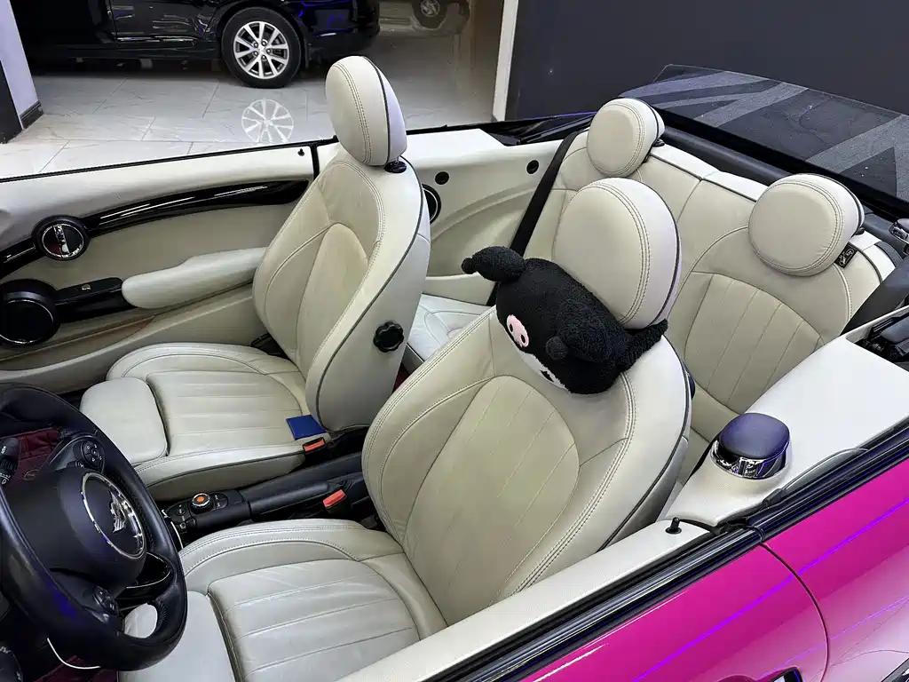 MINI MINI 2016