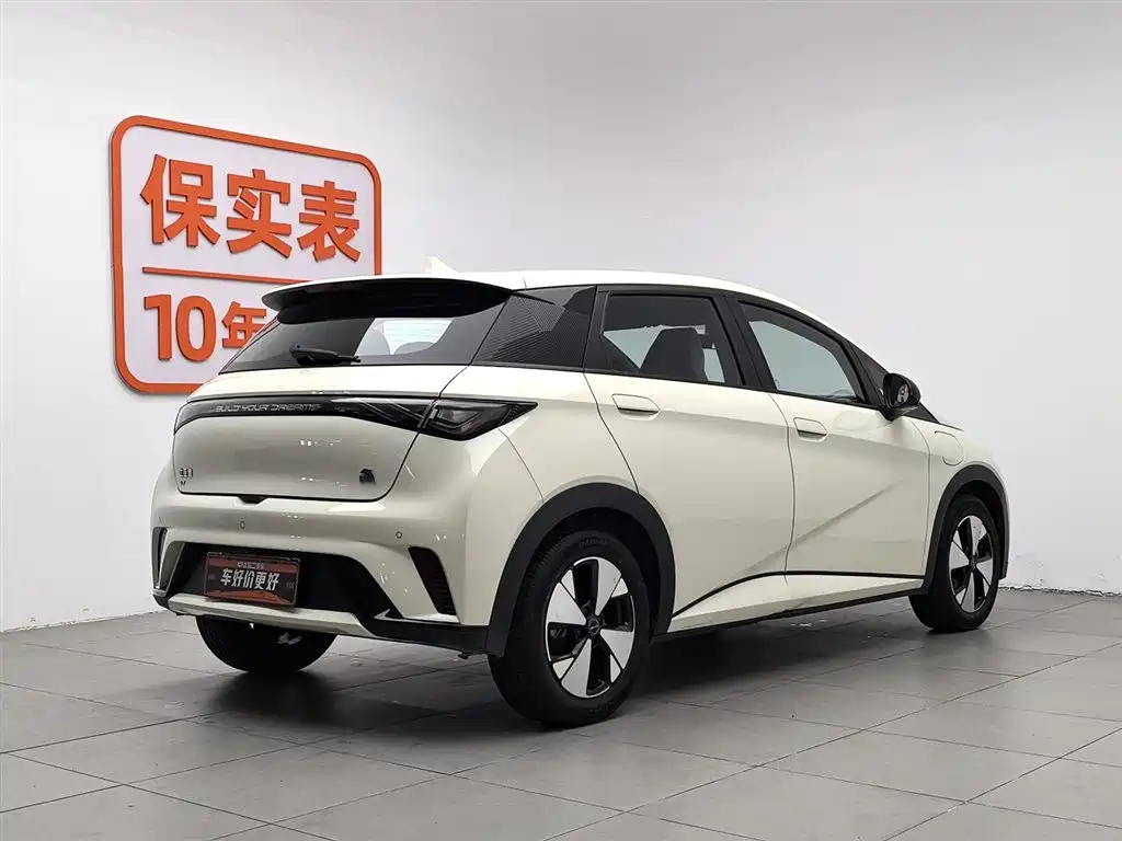 BYD Dolphin 2024