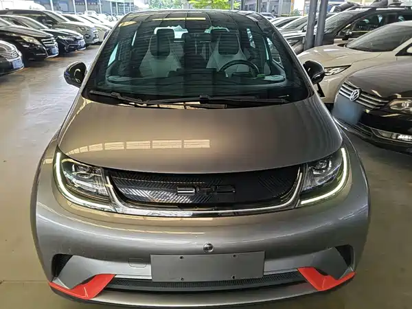 BYD Dolphin 2022