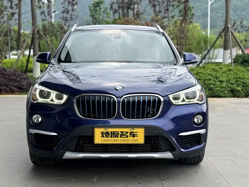 BMW X1 New Energy 2018 — фото 2