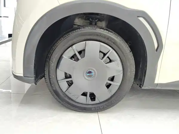 BYD Seagull 2024