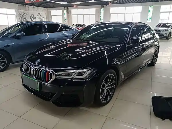 BMW 5 Series New Energy 2023