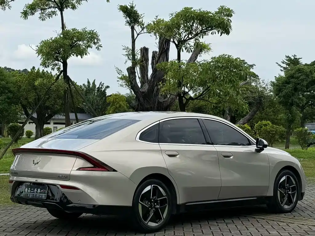 Wuling Starlight 2024