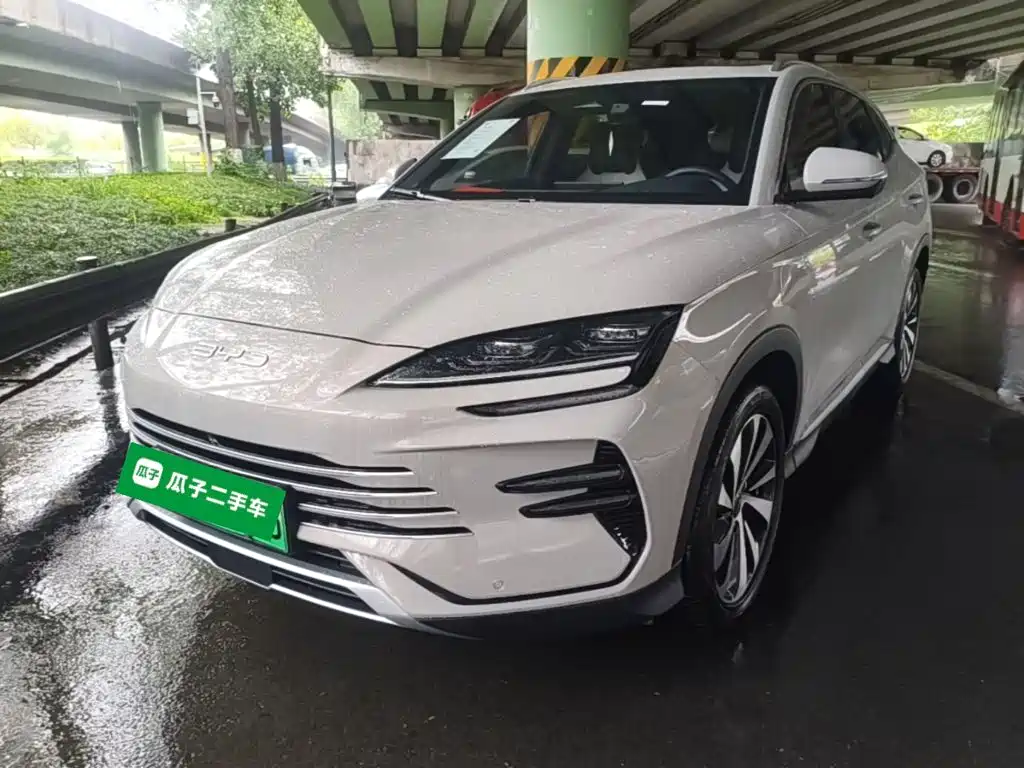 BYD Song PLUS New Energy 2024 — фото 1