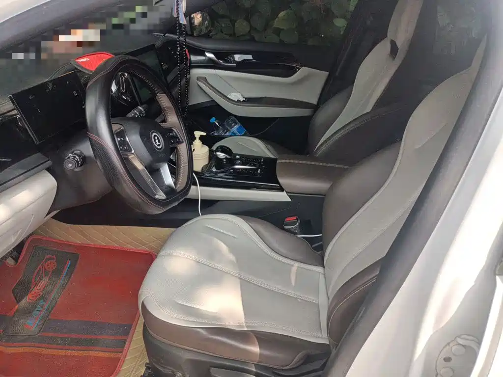 BYD Qin PLUS 2024 — фото 16