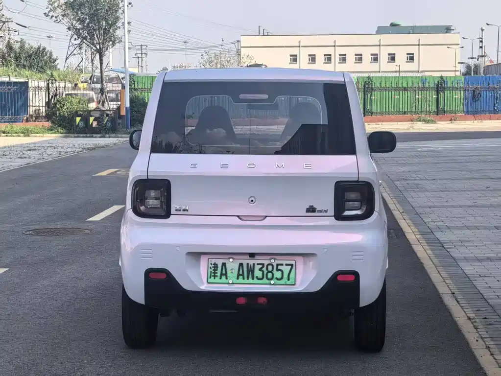 Geely Galaxy Panda 2024