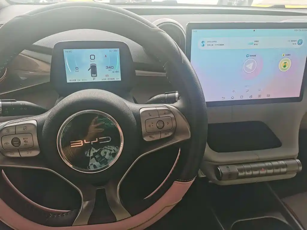 BYD Dolphin 2023