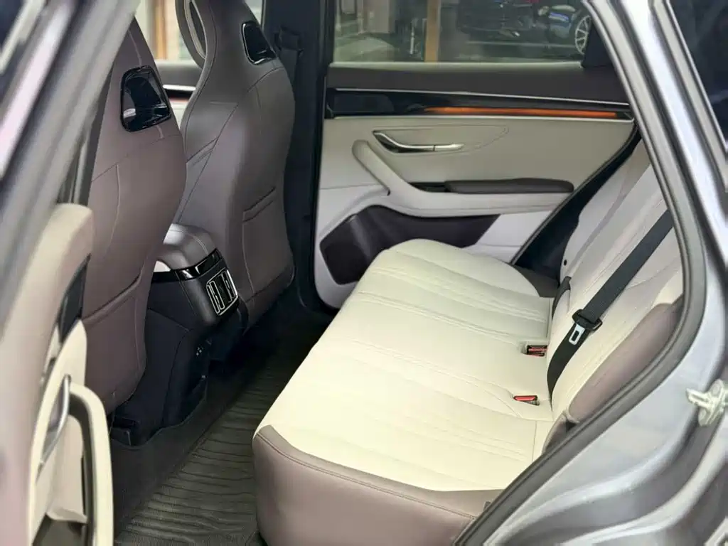 BYD Song PLUS New Energy 2024 — фото 6