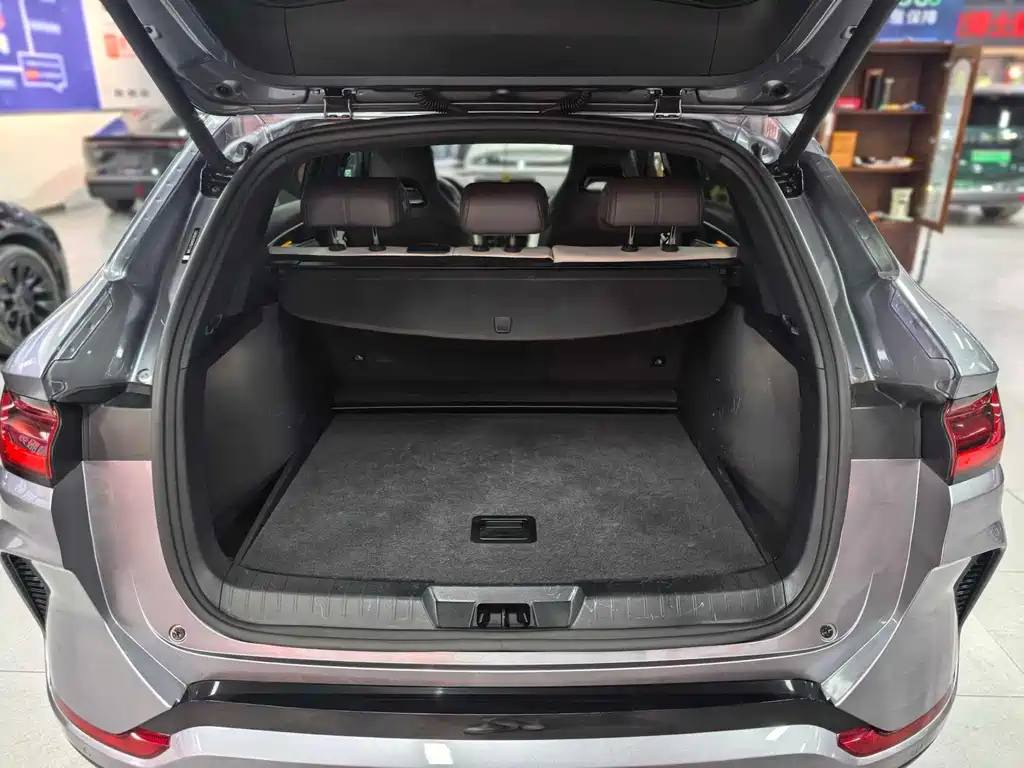 BYD Song PLUS New Energy 2024 — фото 12