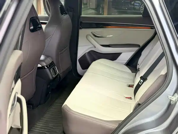 BYD Song PLUS New Energy 2024