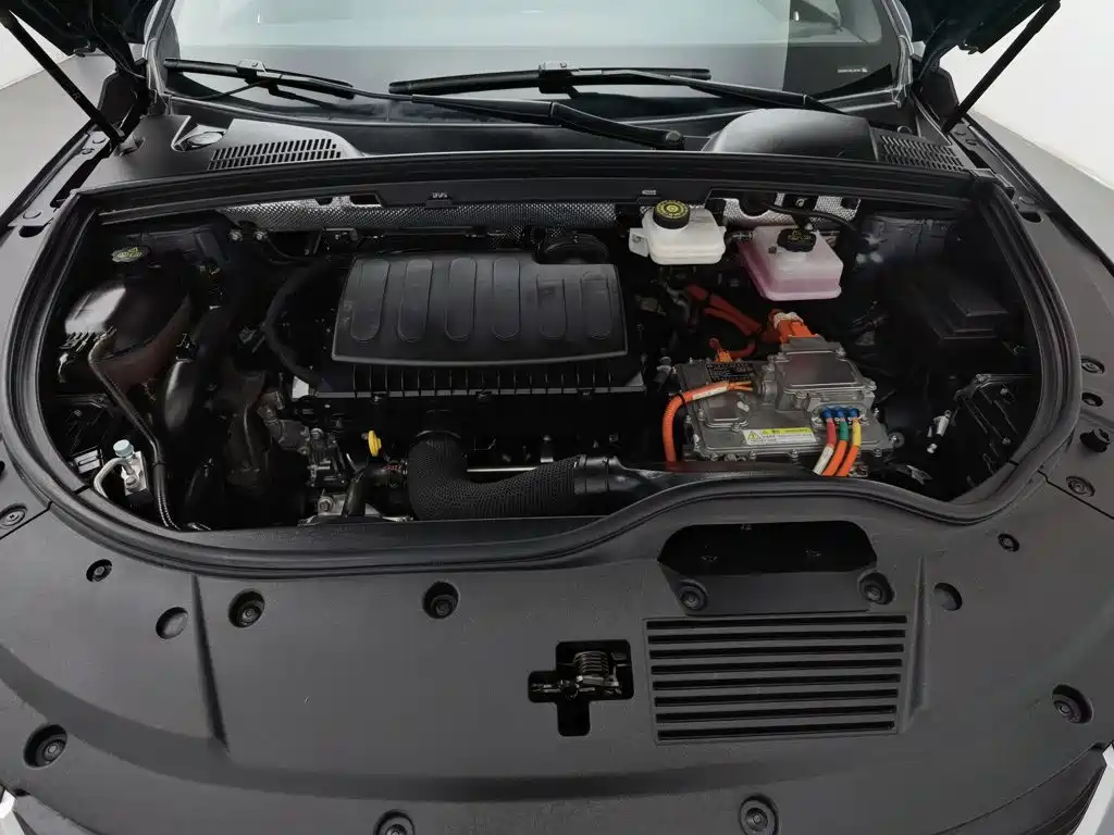 BYD Tang New Energy 2021