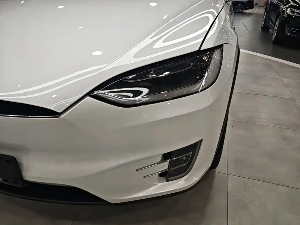 Tesla Model X 2019 — фото 24