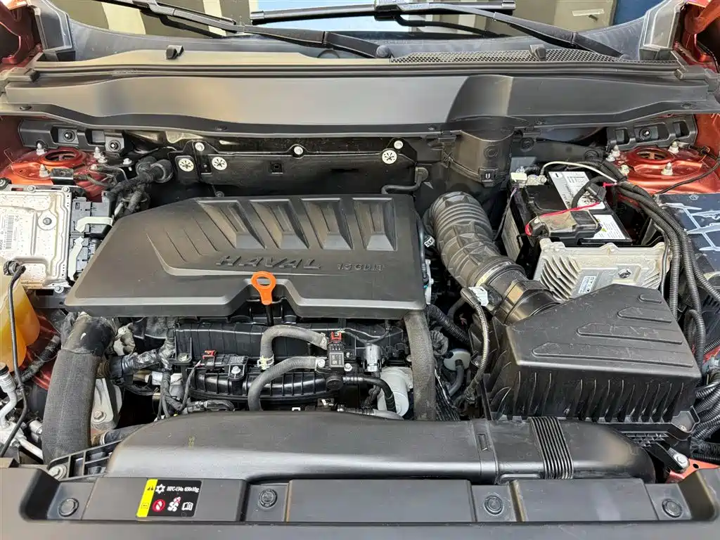 Haval Big Dog 2021