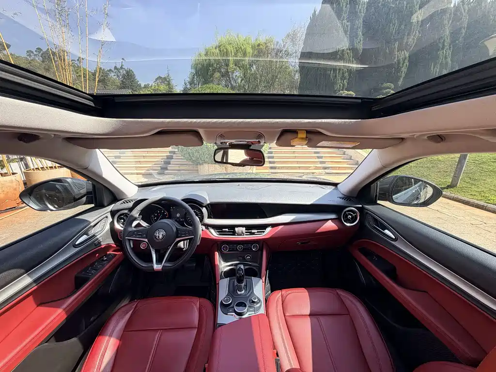 Alfa Romeo Stelvio 2020 — фото 18
