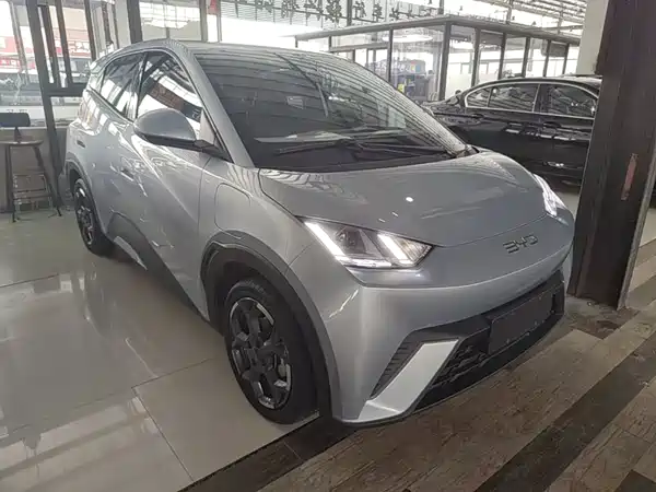 BYD Seagull 2024