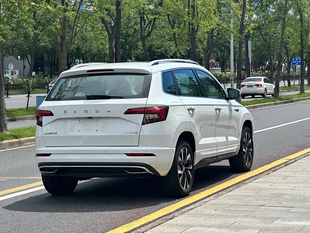 Skoda Karoq 2023 — фото 11