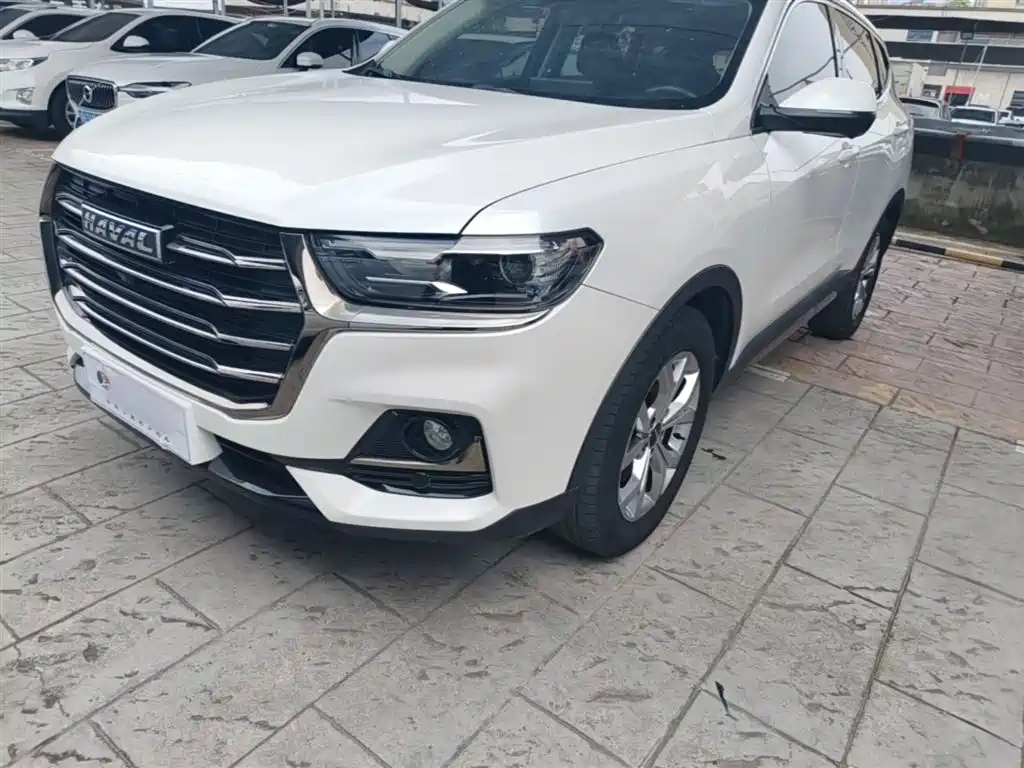 Haval H6 2021 — фото 24