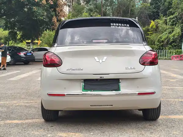 Wuling Bingo 2025