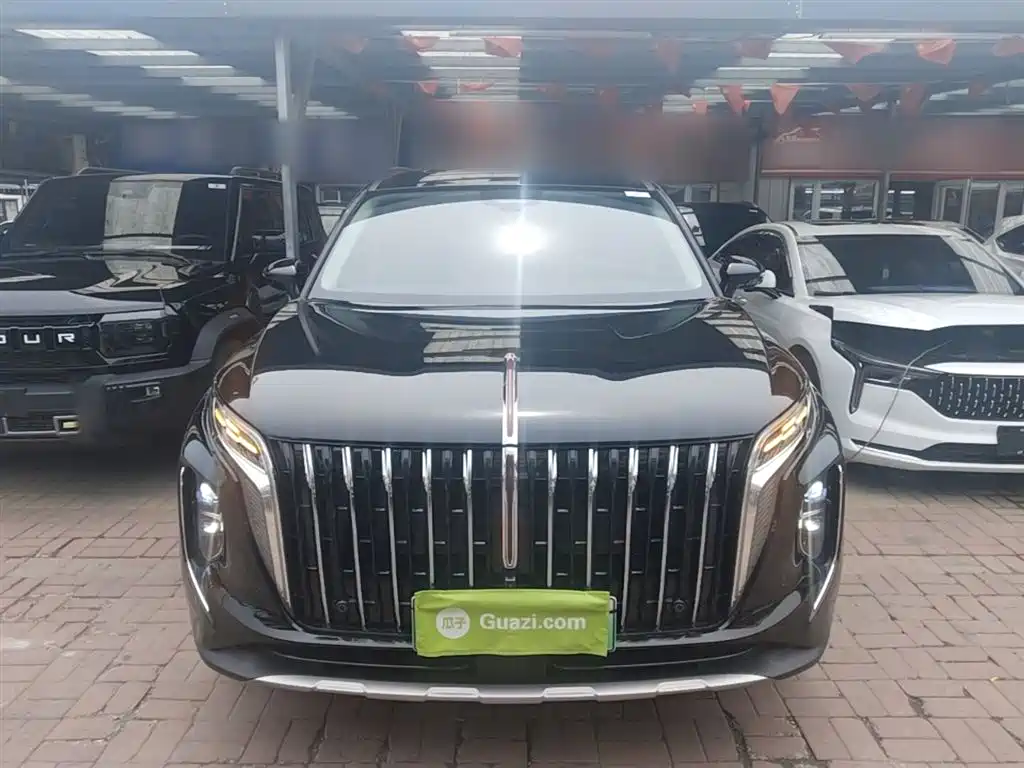 Hongqi HS7 PHEV 2024 — фото 3