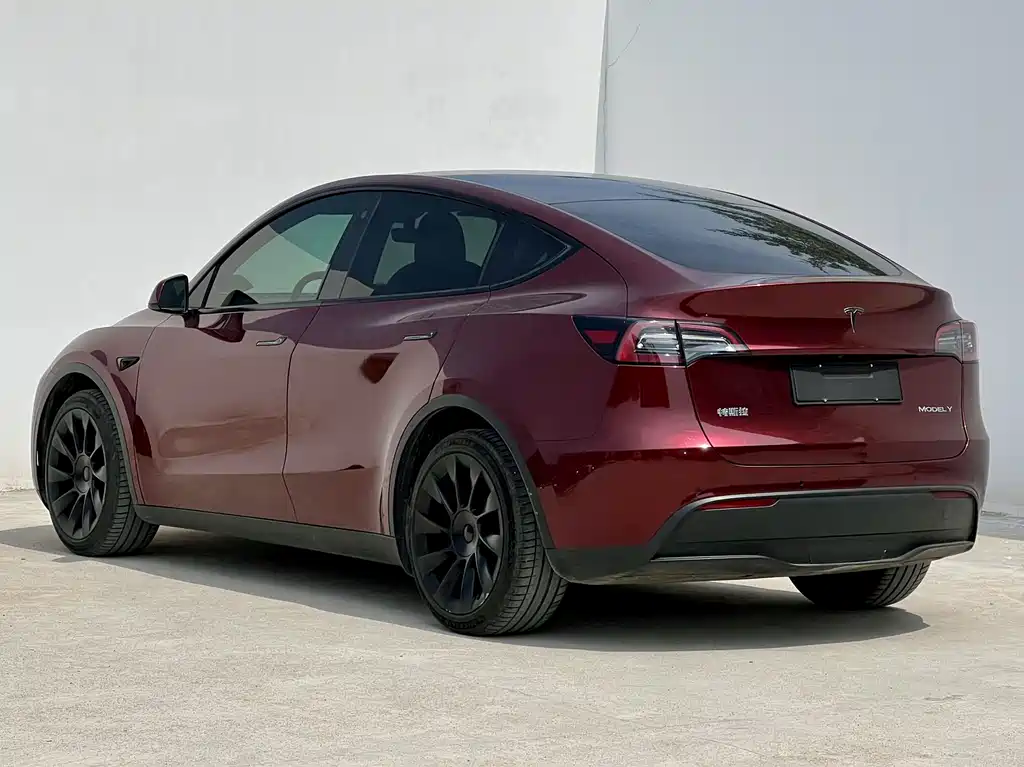 Tesla Model Y 2021 — фото 11