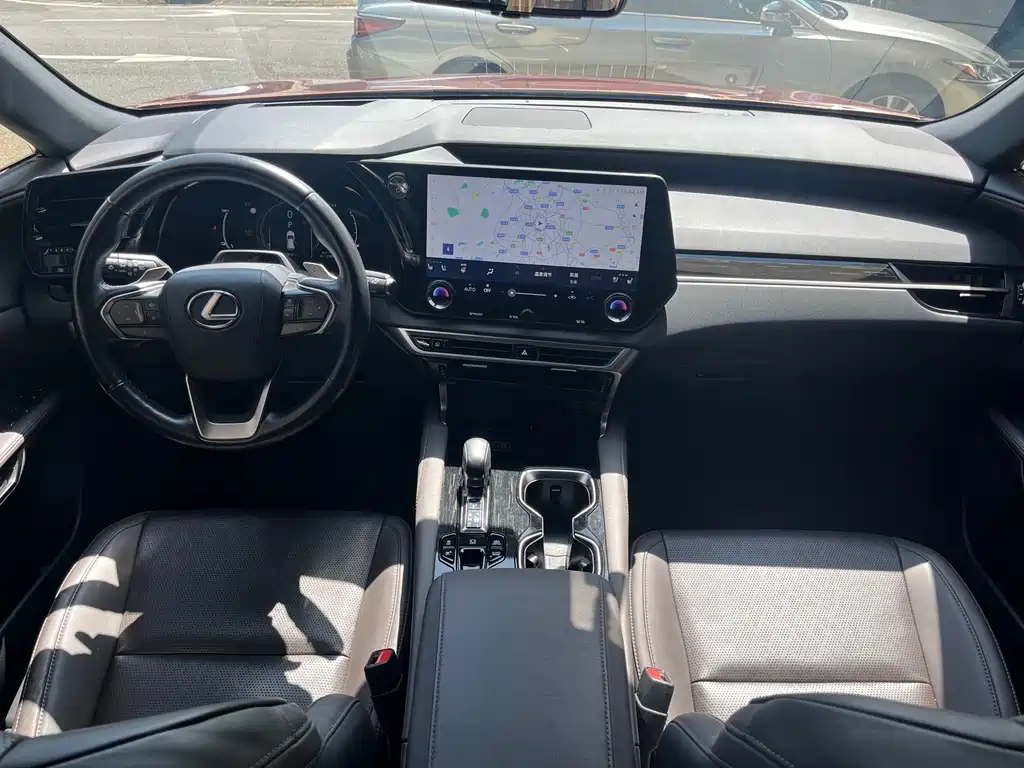 Lexus RX New Energy 2023 — фото 13
