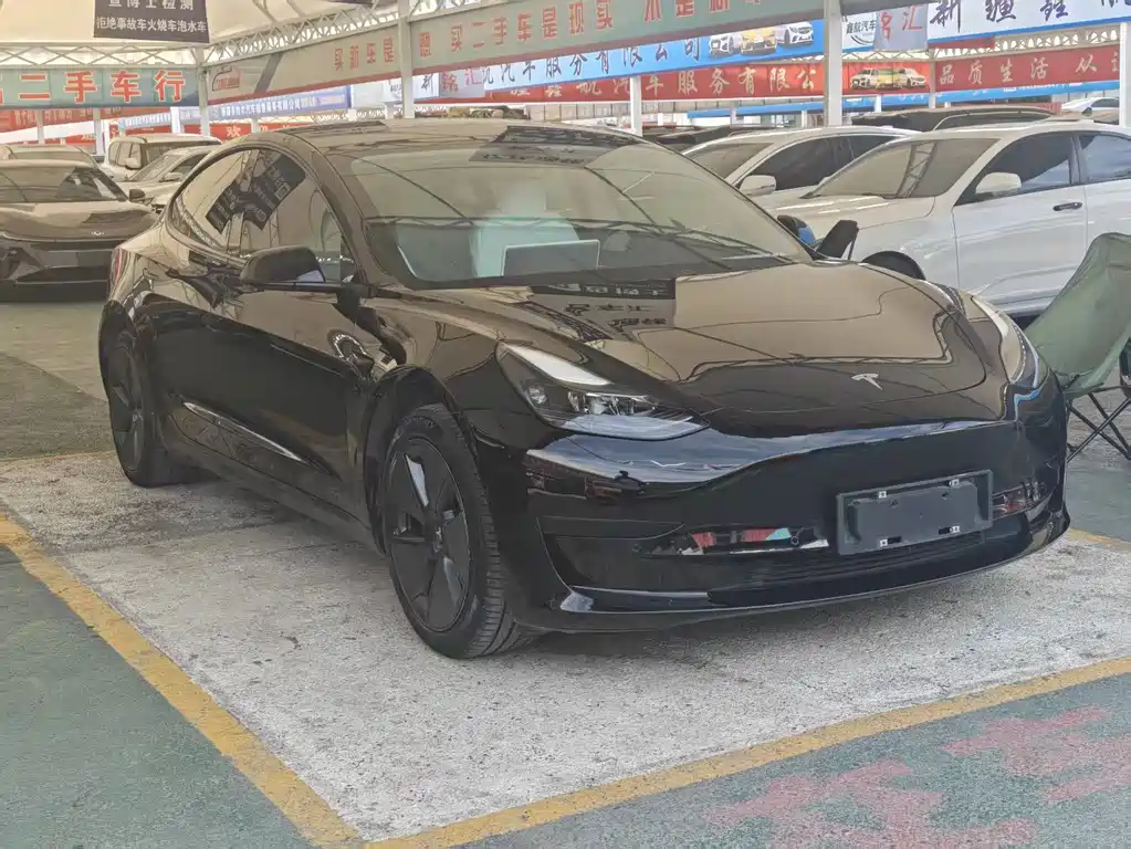 Tesla Model 3 2021 — фото 3