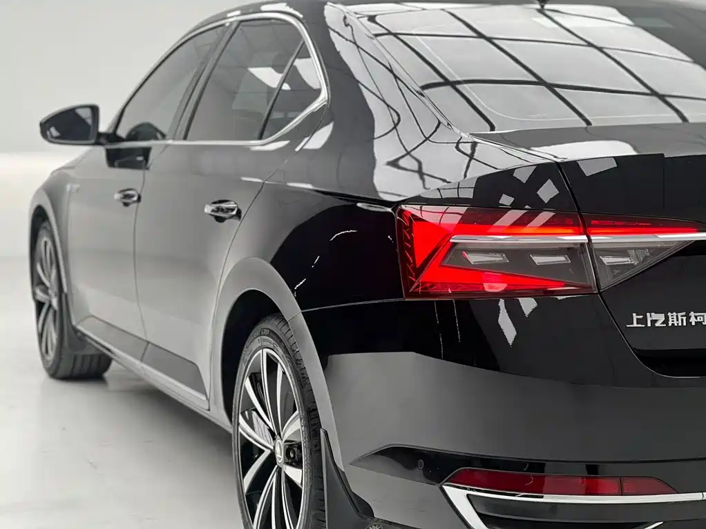 Skoda Speedy 2024