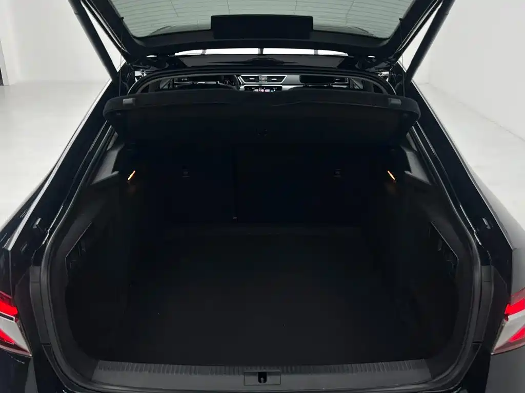Skoda Speedy 2024 — фото 20