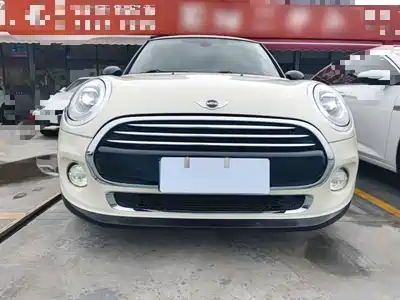 MINI MINI 2014