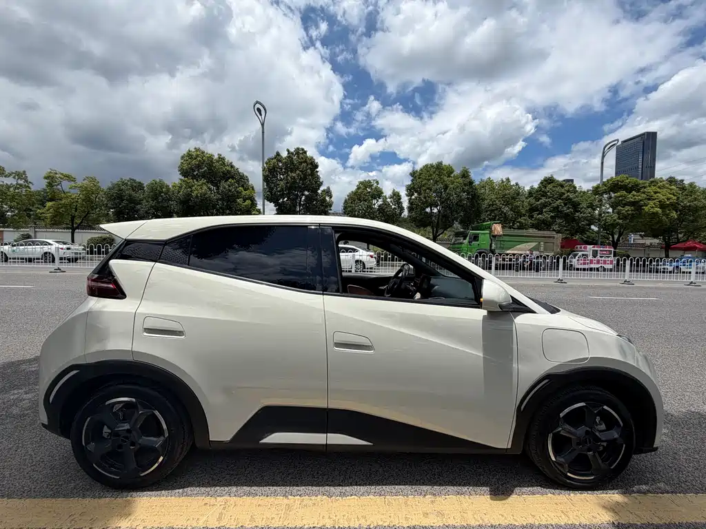 BYD Seagull 2024