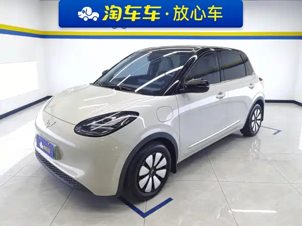 Wuling Bingo 2024