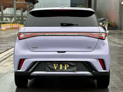 BYD Dolphin 2024