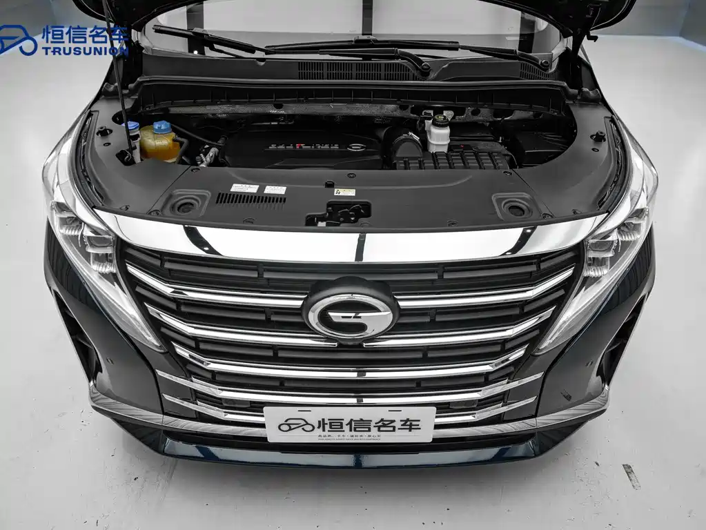 GAC Motor Trumpchi M8 2020 — фото 20