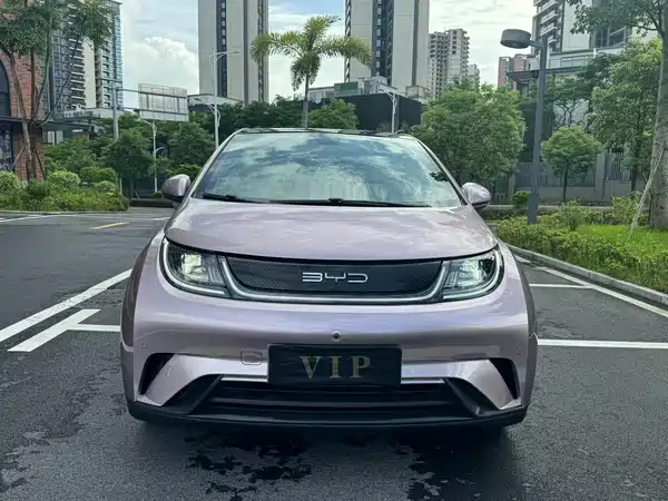BYD Dolphin 2024