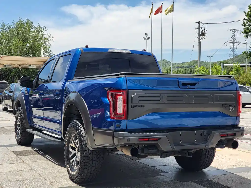 Ford F-150 Raptor 2018 — фото 6